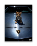Jonge roofkat – 15×20 cm – Zonder lijst