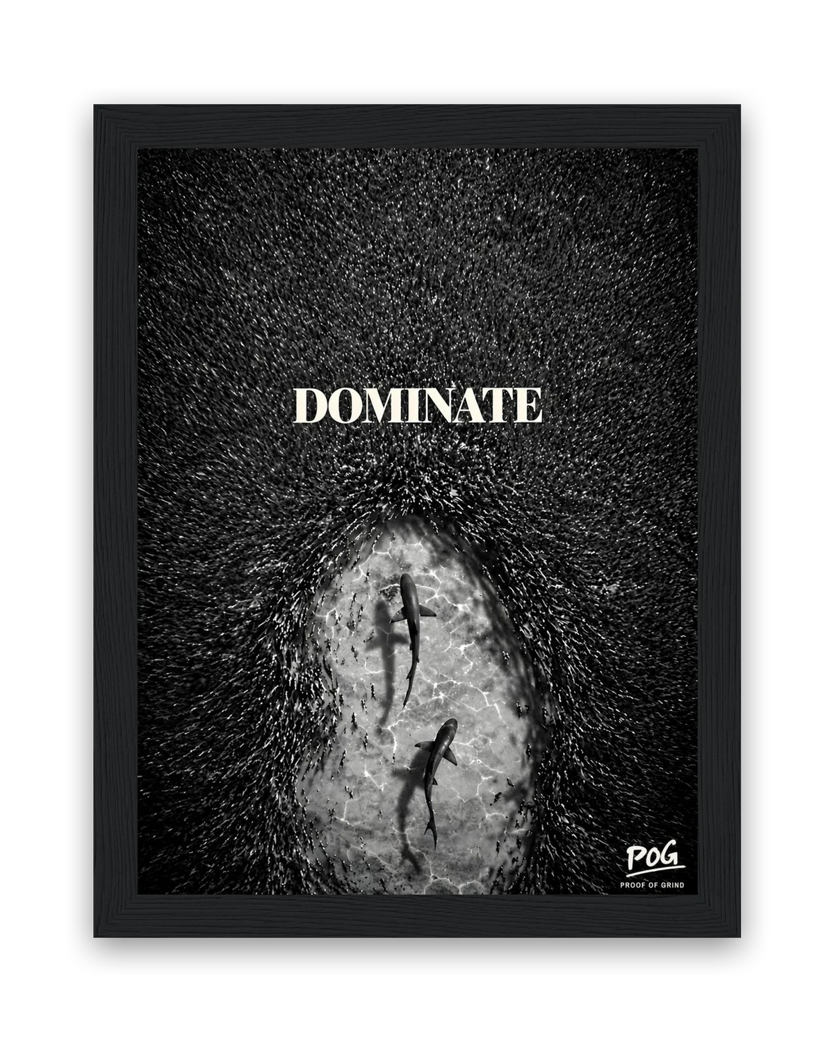 Dominate – 15×20 cm – Zwart