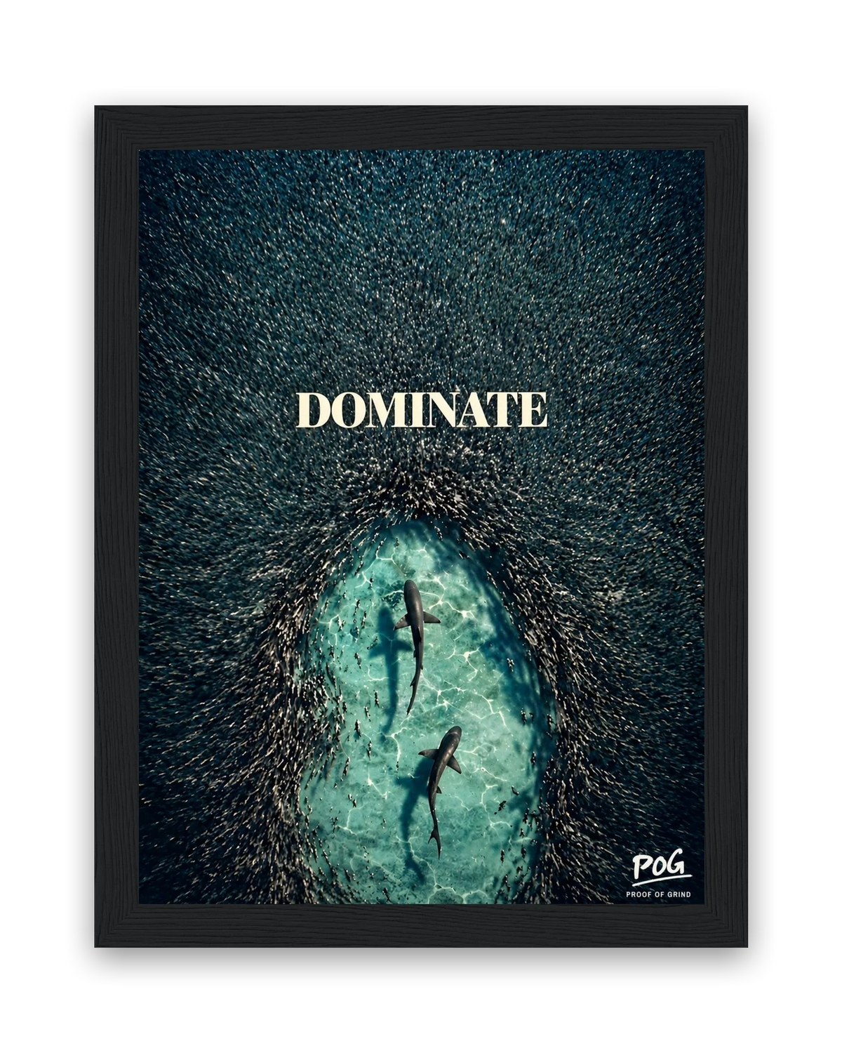 Dominate – 15×20 cm – Zwart