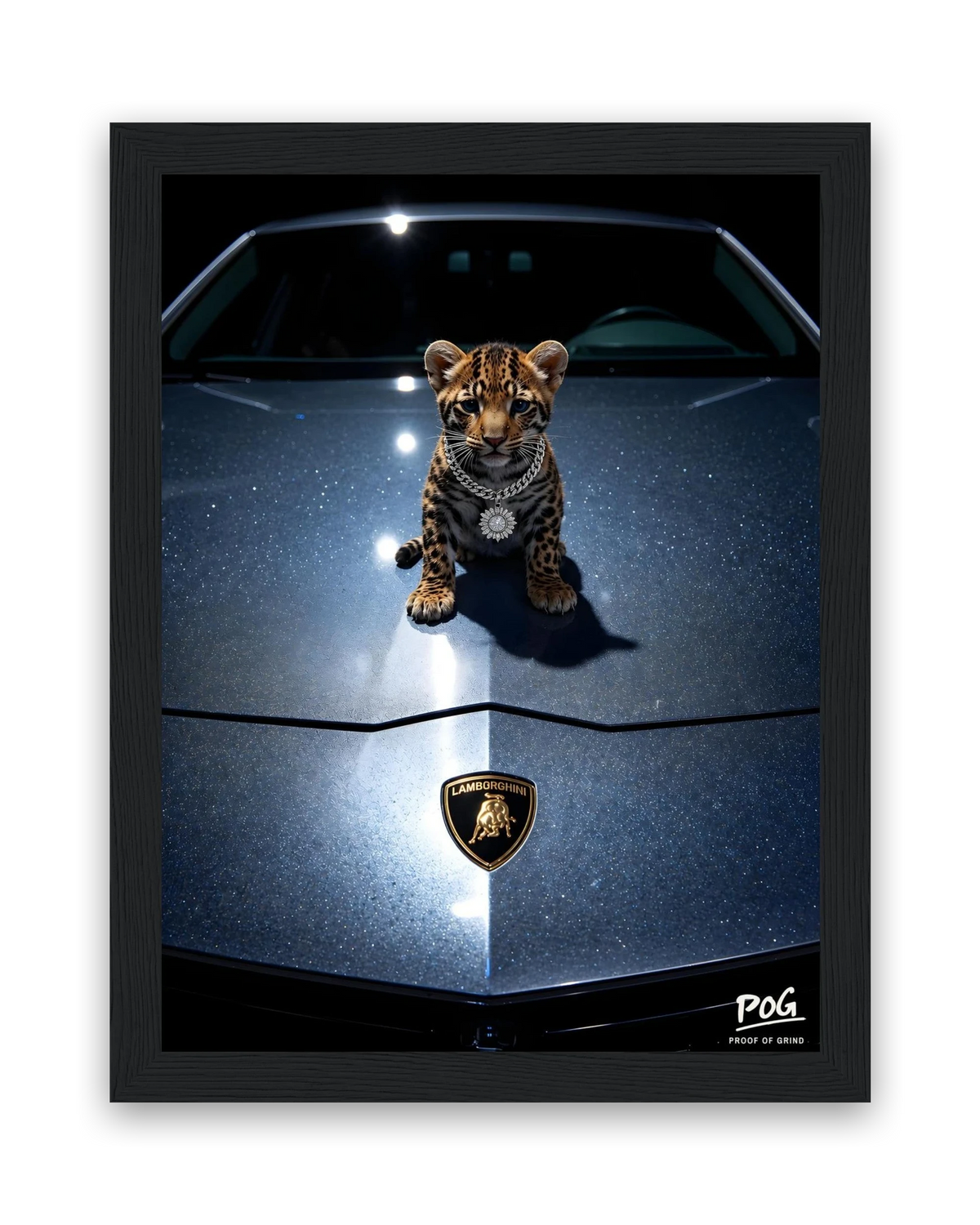 Jonge roofkat – 15×20 cm – Zwart