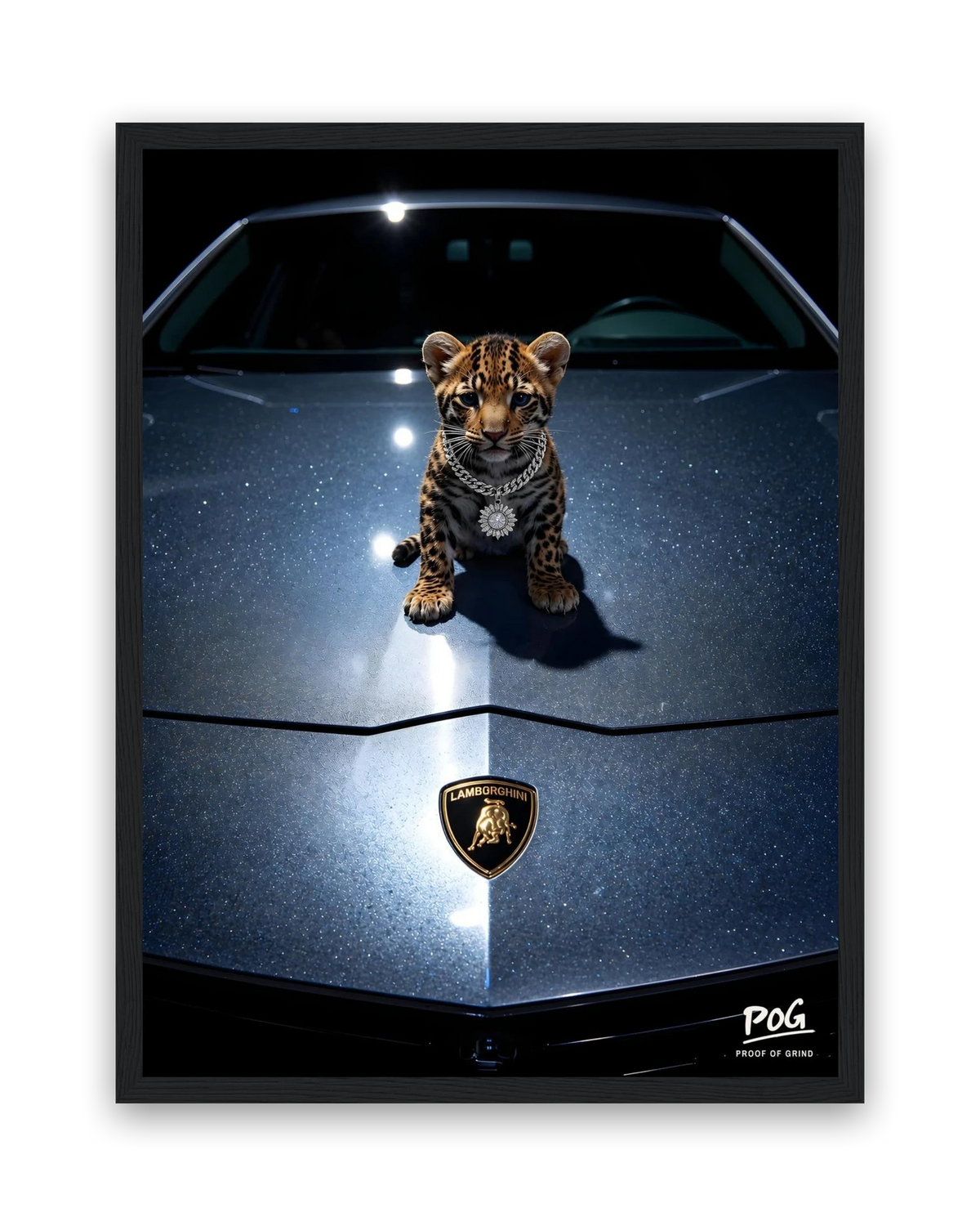 Jonge roofkat – 30×40 cm – Zwart